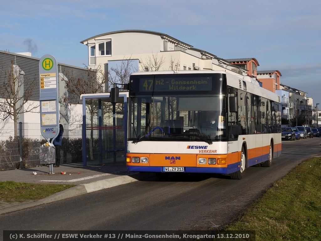 WI-ZX 213 Mainz-Gonsenheim Krongarten 13.12.2010