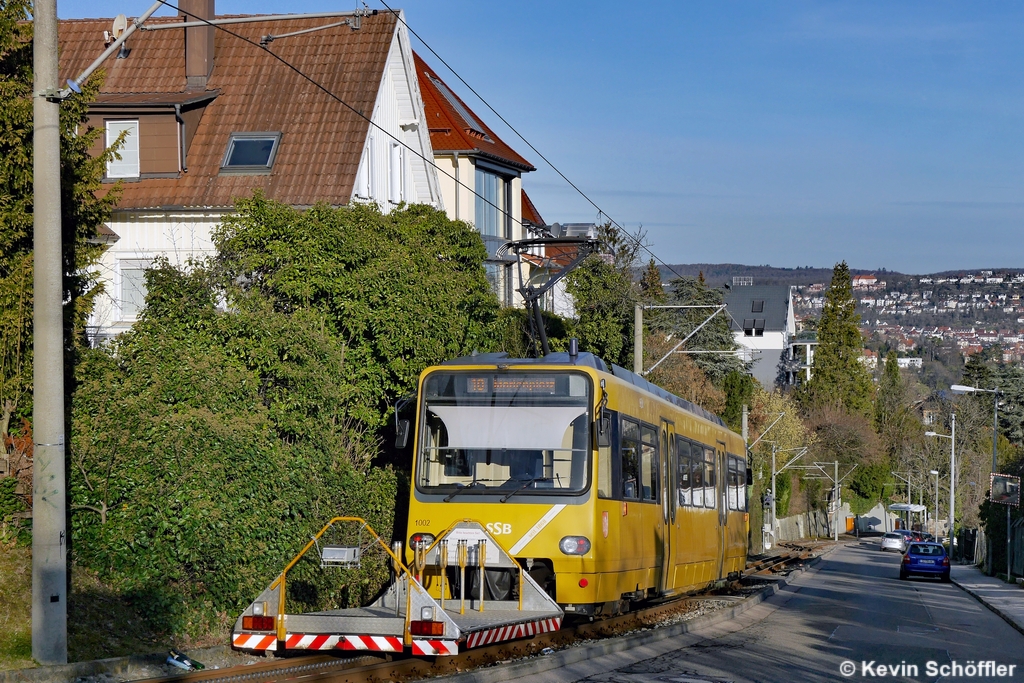 Wagen 1002 | Alte Weinsteige | 12.03.2019