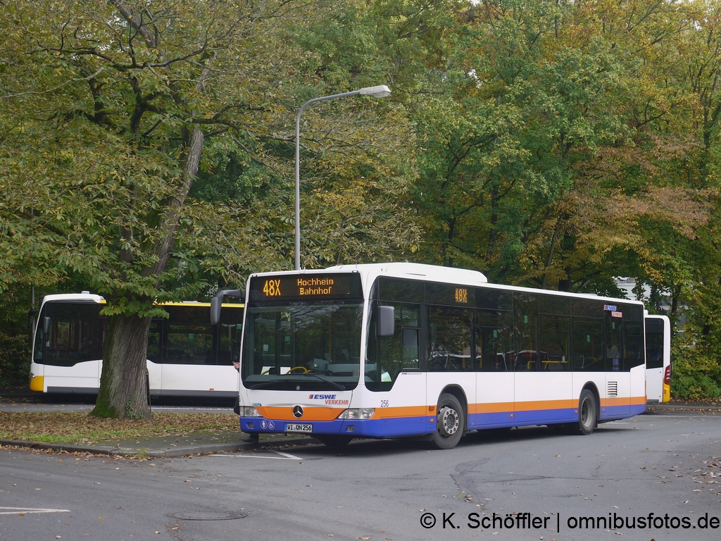 WI-QN 256 Wiesbaden Nordfriedhof 16.10.2014