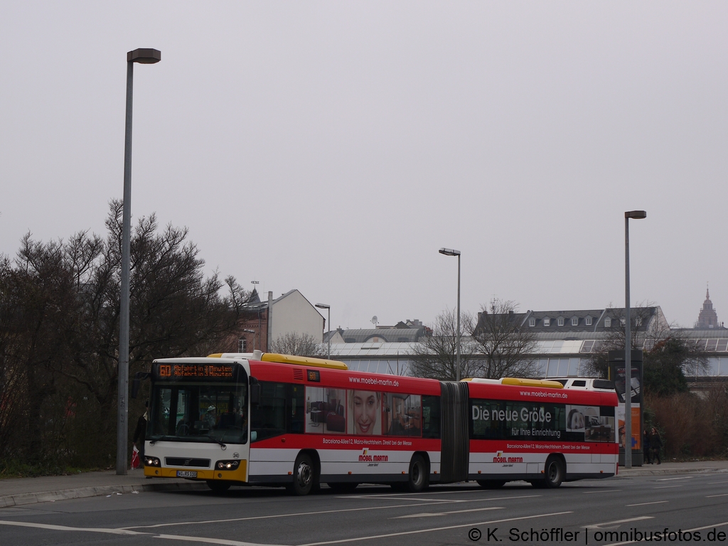 WI-RS 110 Mainz Stadtpark 16.02.2015