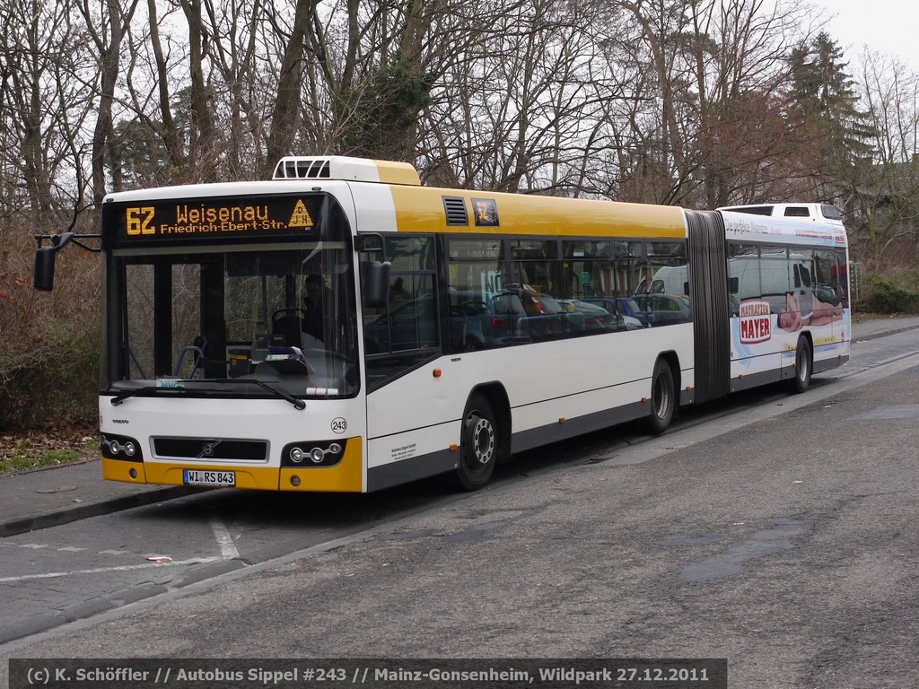 WI-RS 843 Gonsenheim Wildpark 27.12.2011