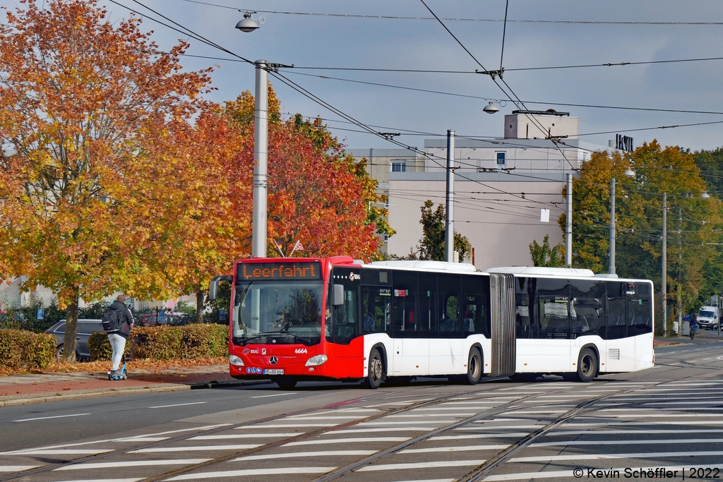 Wagen 4664 | HB-BQ 664 | Flughafendamm | 14.10.2022