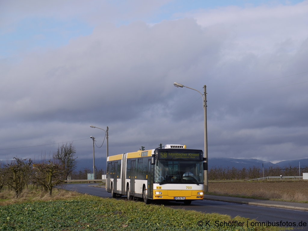MZ-SW 703 Layenhof Am Finther Wald 29.01.2015