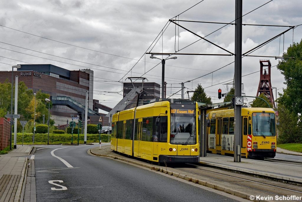 Tw 1533 Stoppenberg Kapitelwiese 15.09.2017