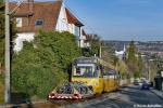 Wagen 1003 | Alte Weinsteige | 12.03,2019