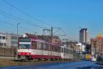 Wagen 4219 | Neuss Düsseldorfer Straße | 13.01.2025 Wagen 4219 | Neuss Düsseldorfer Straße | 13.01.2025