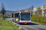 WI-QM 176 | Sauerland Spiekerooger Straße | 26.03.2020 WI-QM 176 | Sauerland Spiekerooger Straße | 26.03.2020