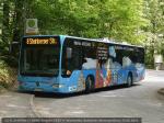 WI-QN 222 Bahnholz 15.05.2011 WI-QN 222 Bahnholz 15.05.2011