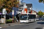 Wagen 248 | WI-QN 248 | Hochheim Berliner Platz | 11.09.2018