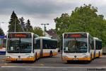 Wagen 388+393 | DA-MB 388+DA-MB 393 | Arheilgen Maulbeerallee | 30.08.2018 Wagen 388+393 | DA-MB 388+DA-MB 393 | Arheilgen Maulbeerallee | 30.08.2018