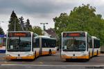 Wagen 388+393 | DA-MB 388+DA-MB 393 | Arheilgen Maulbeerallee | 30.08.2018