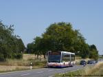 WI-XJ 141 Erbenheim Oberfeld 05.08.2015