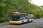 Wagen 312 | MZ-MQ 312 | Gonsenheim Wildpark | 21.09.2018 Wagen 312 | MZ-MQ 312 | Gonsenheim Wildpark | 21.09.2018