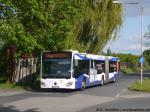 MZ-SW 785 Layenhof Am Finther Wald 07.05.2015 MZ-SW 785 Layenhof Am Finther Wald 07.05.2015
