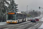 Wagen 919 | MZ-SW 919 | Hechtsheim Weisenauer Weg | 10.12.2017 Wagen 919 | MZ-SW 919 | Hechtsheim Weisenauer Weg | 10.12.2017