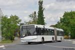 F-MR 3622 | Raunheim Mainzer Straße | 03.05.2020