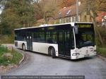 WI-GU 348 Rambach Kitzelberg 11.11.2011