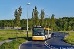MZ-SW 703 Emy-Roeder-Straße 10.05.2017 MZ-SW 703 Emy-Roeder-Straße 10.05.2017