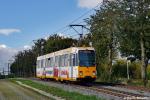 Tw 276 Marienborner Bergweg 03.10.2017